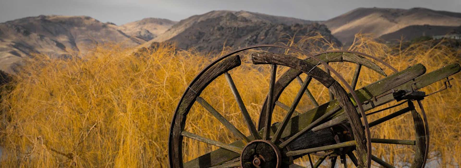 Osteopathic Principles